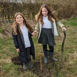 Planting two donated horse chestnut saplings on site